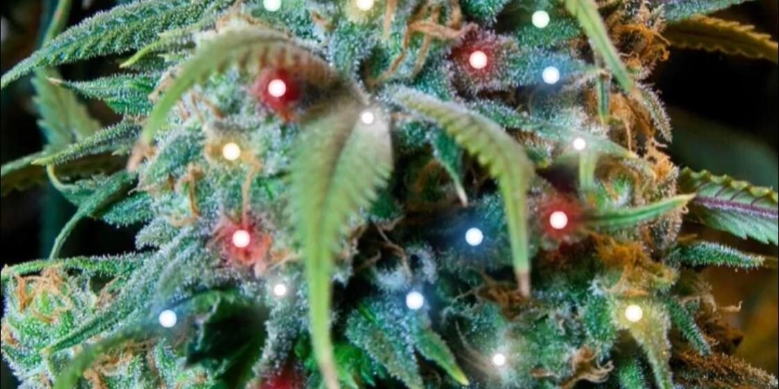 Gifts for Weed Lovers