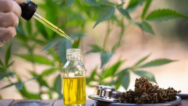 cbd oil expensive