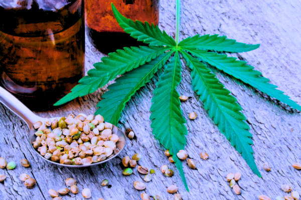 Apple Fritter Strain