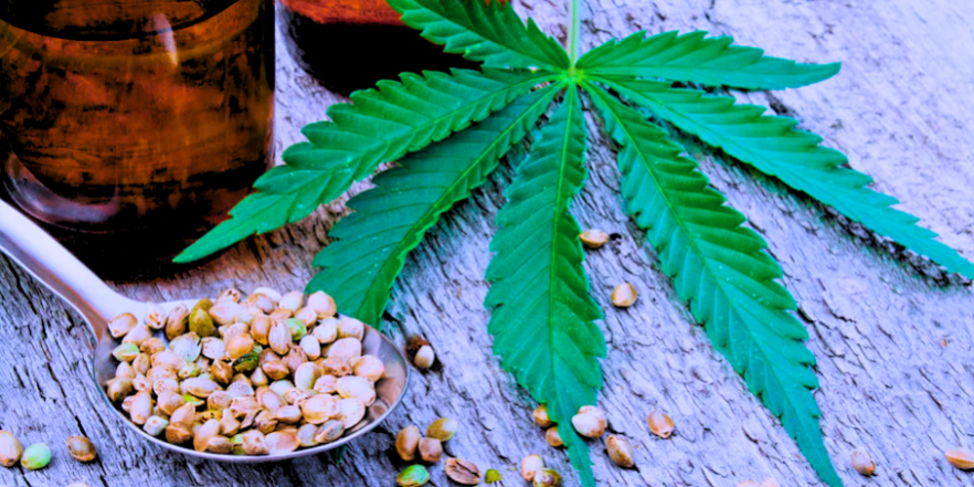 Apple Fritter Strain