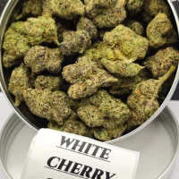 Buy White Cherry Gelato strain Buy White Cherry gelato white cherry gelato